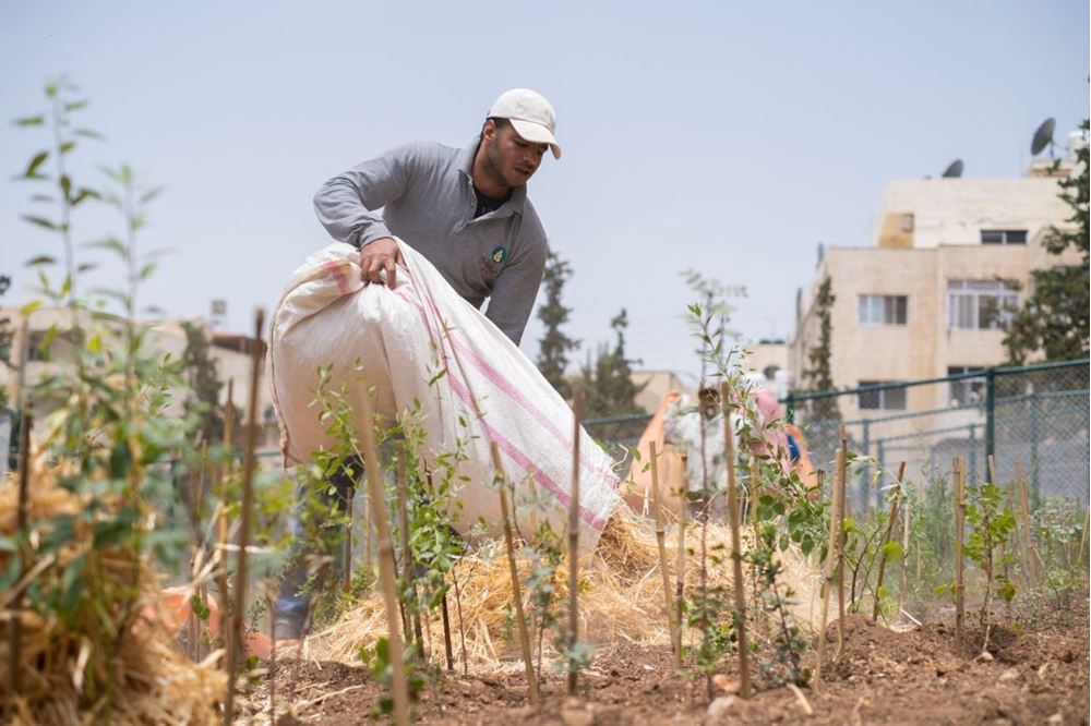 Picture of Establishing an agricultural production farm