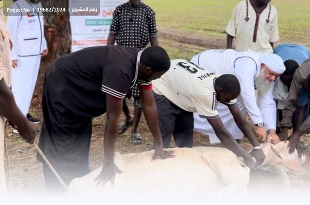 Picture of Slaughtering a cow and distributing its meat