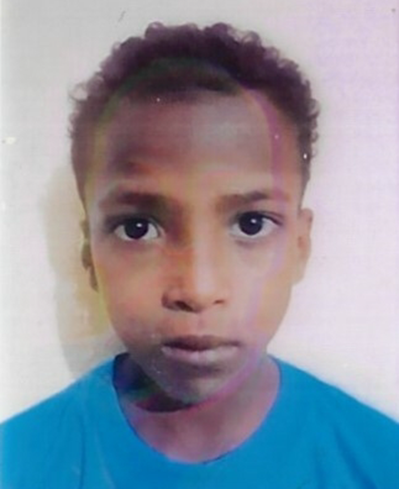 Picture of Orphan - Najm - 21292