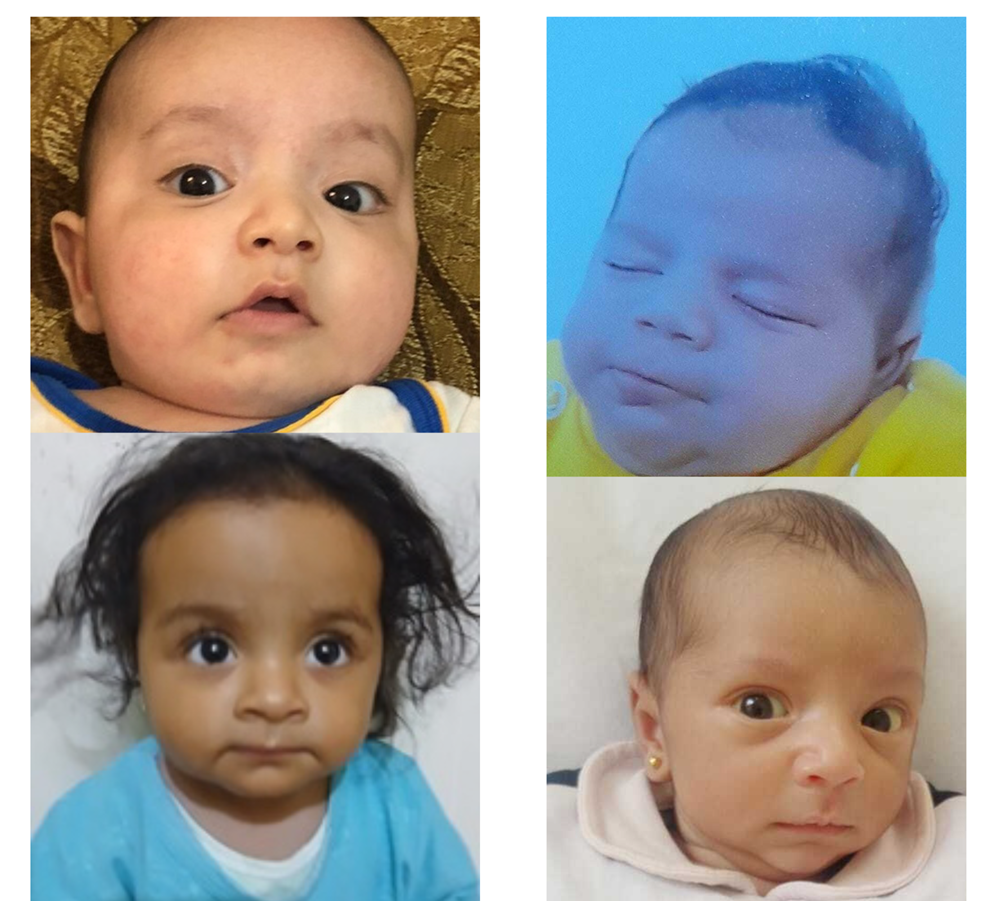 Picture of Sponsorship of four orphan infants from Jordan