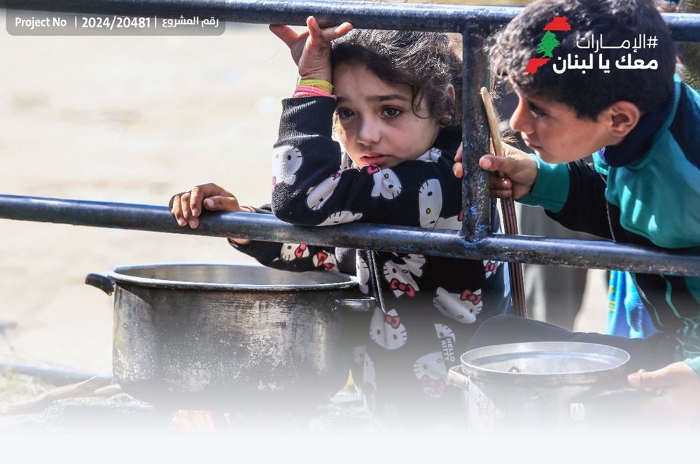 Picture of Food parcels // The UAE is with you, Lebanon